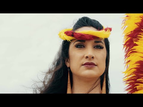 Seven Suns - Many Feathers (Official Music Video)