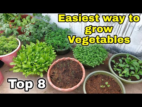 , title : 'Easiest way to grow Top 8 Vegetables at Home/Garden | Small space gardening'