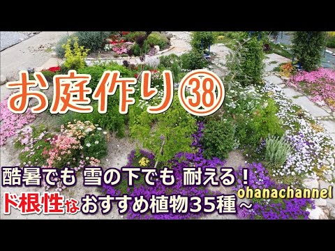 庭を寒さや霜から守る肥料は何ですか?この冬おすすめの5本をご紹介します!  庭園