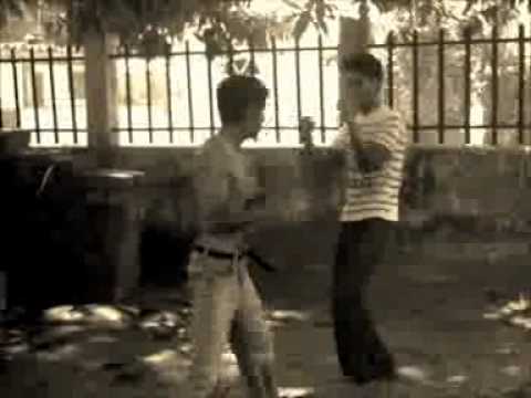 boxeo (cobra vs canelo)