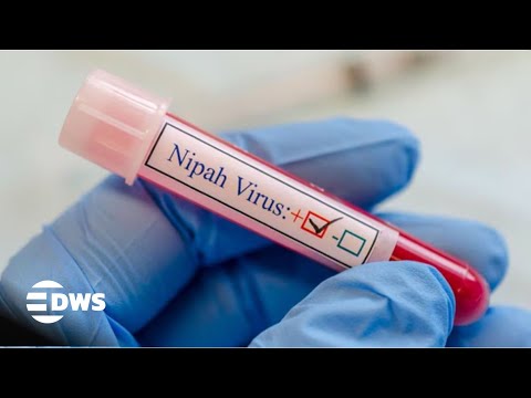 WHO Press Briefing: Nipah Virus Cases Confirmed in West Bengal | Low Risk | AR15