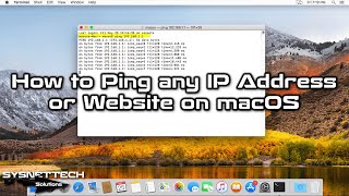 How to Ping any IP Address or Website on macOS | SYSNETTECH Solutions