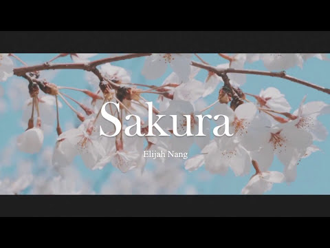 Video thumbnail for Sakura