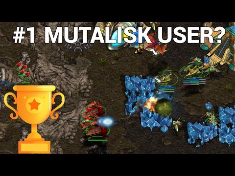 The Top 5 are just Built Different. - EffOrt vs BeSt