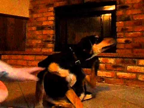 19WKS UPHIGH DOWNLOW