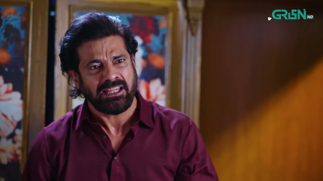 Rahguzar Episode 02 [ Best Moment 01 ]  Hira Mani - Mohib Mirza | Green TV Entertainment