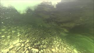 Die Taugl - Unterwasser Aufnahmen (Österreich: Salzburg)