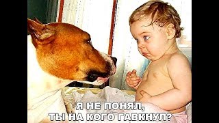 Чумовая подборка лучших приколов!!! Полная ржака!!!