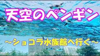 サンシャイン水族館に天空のペンギンを見に行こう(*´∀｀*)　ショコラムービー