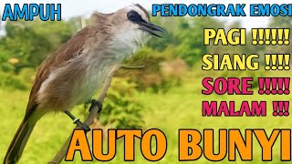 Download lagu TRUCUKAN GACOR DOR FULL SUARA ALAM ! Terbukti Trucuk Lain Langsung Respon 1000% mp3 Download lagu TRUCUKAN GACOR DOR FULL SUARA ALAM ! Terbukti Trucuk Lain Langsung Respon 1000% mp3