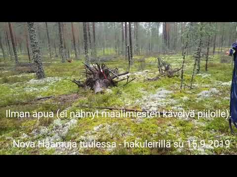 Nova Haamuja tuulessa -hakuleirillä avuilla suoria pistoja su 15.9.2019