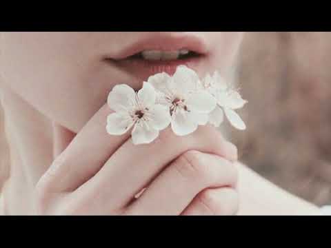 La canzone del sole Lucio Battisti