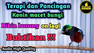Download lagu PANCINGAN KONIN MACET BUNYI GACOR FULL ISIAN COCOK BUAT KOLIBRI BAHAN IJOAN/PASTOL BELAJAR BUNYI mp3