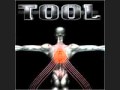 Tool, Part of Me, Salival 
