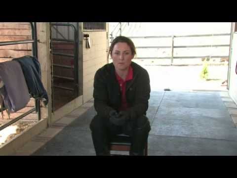 download lagu mp3 mp4 Horseback Riding Lessons Cost, download lagu Horseback Riding Lessons Cost gratis, unduh video klip Horseback Riding Lessons Cost