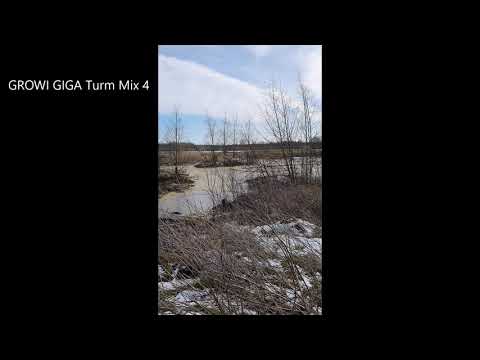 Video 9