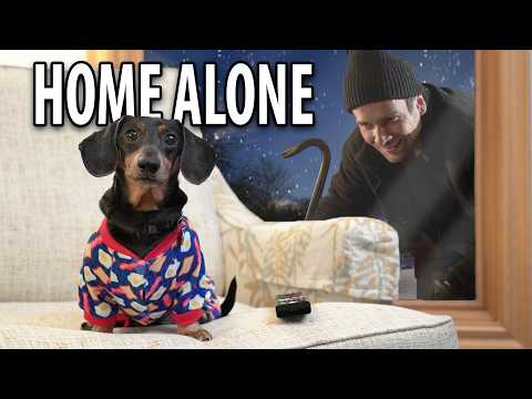 Ep 54: Oakley is.. HOME ALONE! 😮
