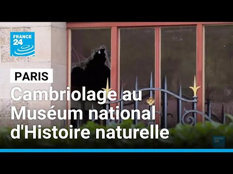 Des spécimens d'or volés au Muséum national d'Histoire naturelle à Paris • FRANCE 24