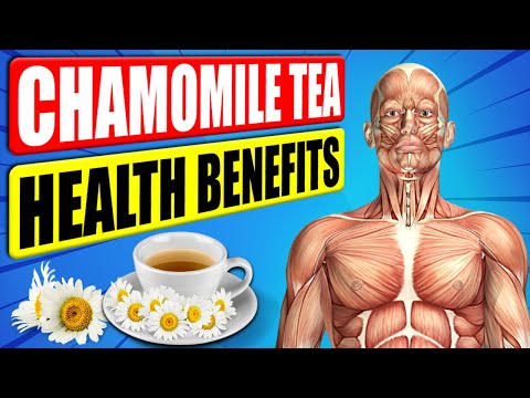 Drinking Chamomile Tea Every Day Will Do Wonders For Your Body