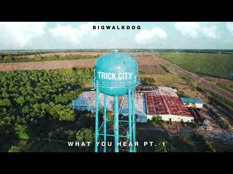 Video thumbnail for What You Hear Pt. 1
