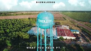 BigWalkDog - What You Hear Pt. 1 [Official Audio]