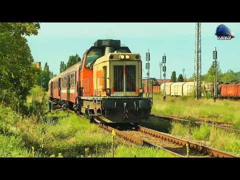 Torpila 82-0561-9 & Mecanic Grozav/Great Engineer in Oradea Est Triaj - 08 September 2017