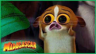 Oi, Como Vai? | DreamWorks Madagascar em Português