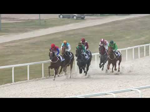 2021.11.14. 03. futam - NYERETLEN KÉTÉVESEK VERSENYE (IV.kat.) I. rész (szintetikus p.)