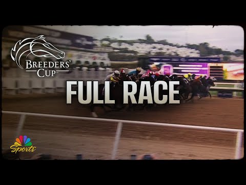 2024/11/3(日) ブリーダーズカップダートマイル（G1）