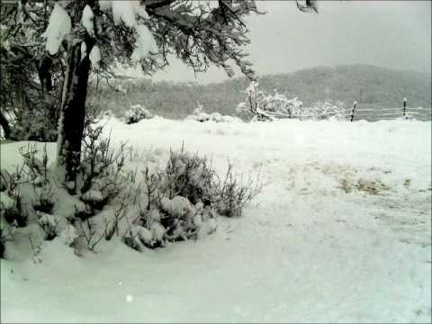 Bibliografie Comuna Balvanesti- Digitales