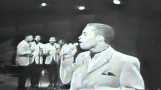 The Spidells - So Much in Love Remastered