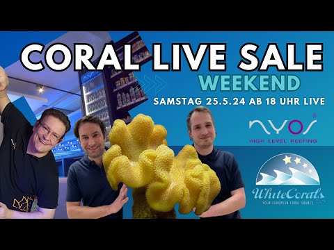 💦 Coral Live Sale WhiteWeekend 💦 Live aus dem White Corals Studio 💦Tag 2 am 25.5.24 ab 18 Uhr 💦