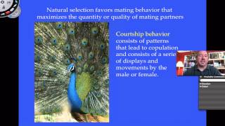 Social Behavior Part 1