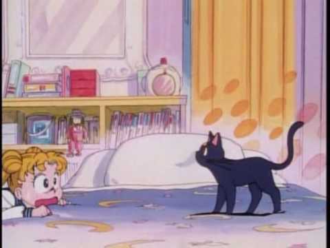Luna Sailor Moon