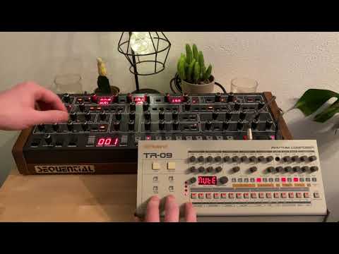 Techno Jam on a Prophet 6 & Roland tr09