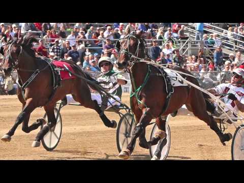 Chats with Champ - John Fielding & Jimmy Takter