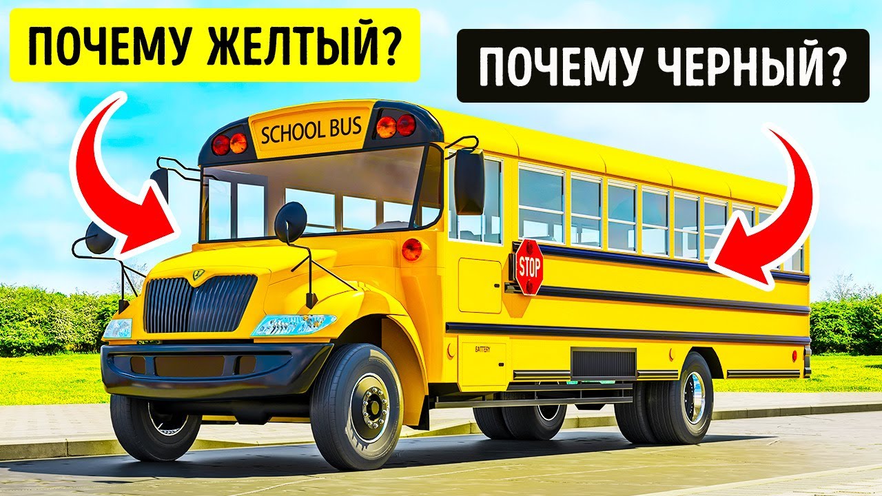 Вот почему школьные автобусы в некоторых странах в основном желтые