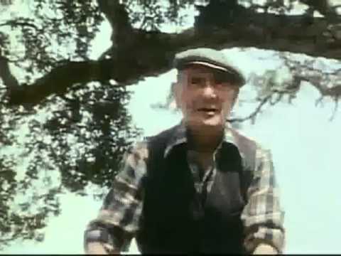 1982 volvo 240 commercial