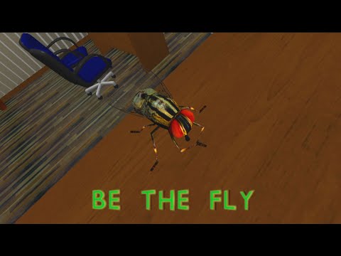Be the Fly