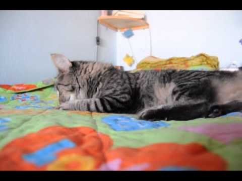 Breena and the shrimp