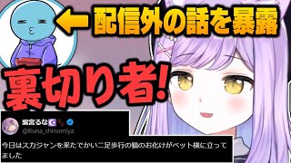 紫宮るなが配信外で話したおばけの話を暴露するりんしゃんつかい【Lykq/ぶいすぽっ!/APEX /切り抜き】