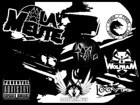 La Meute BZH - No stress pour 2016 (Wolfram, Won-Tolla, Coeur2Loup, Fenrir et Loovto) (RAP)