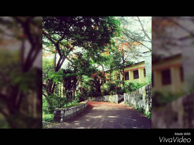 Sree Krishna College Guruvayur видео №1