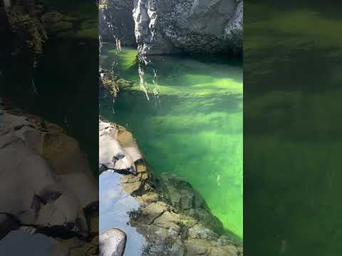 Rio Claro bajo el agua en PARQUE INGLES, Región del Maule, CHILE