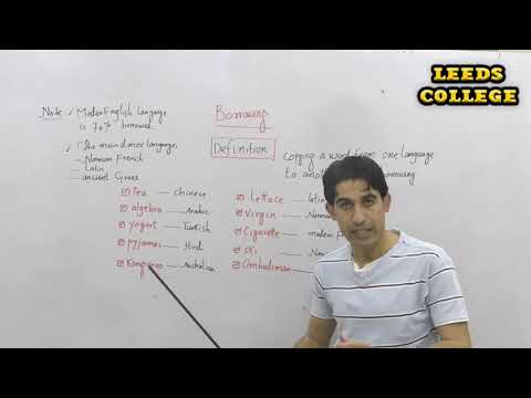 What is Borrowings in Linguistics (Lec: Inayat Afridi) LEEDs College Peshawar