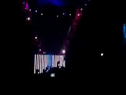 P.V.D dancing with Lebanese crowd