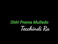 Reddy Gari Ammayi Ra Song Withlyrics Full Song