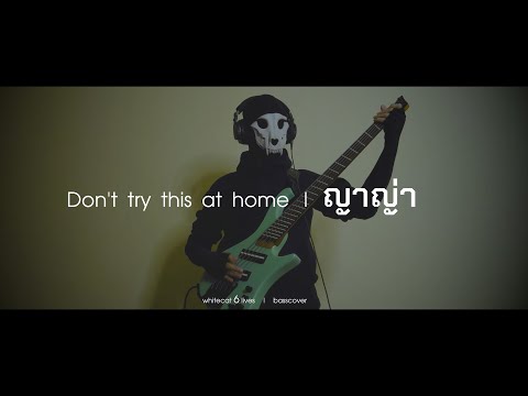 Don't try this at home - ญาญ่า | basscover | by whitecat6lives