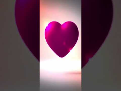Vídeo de meleys