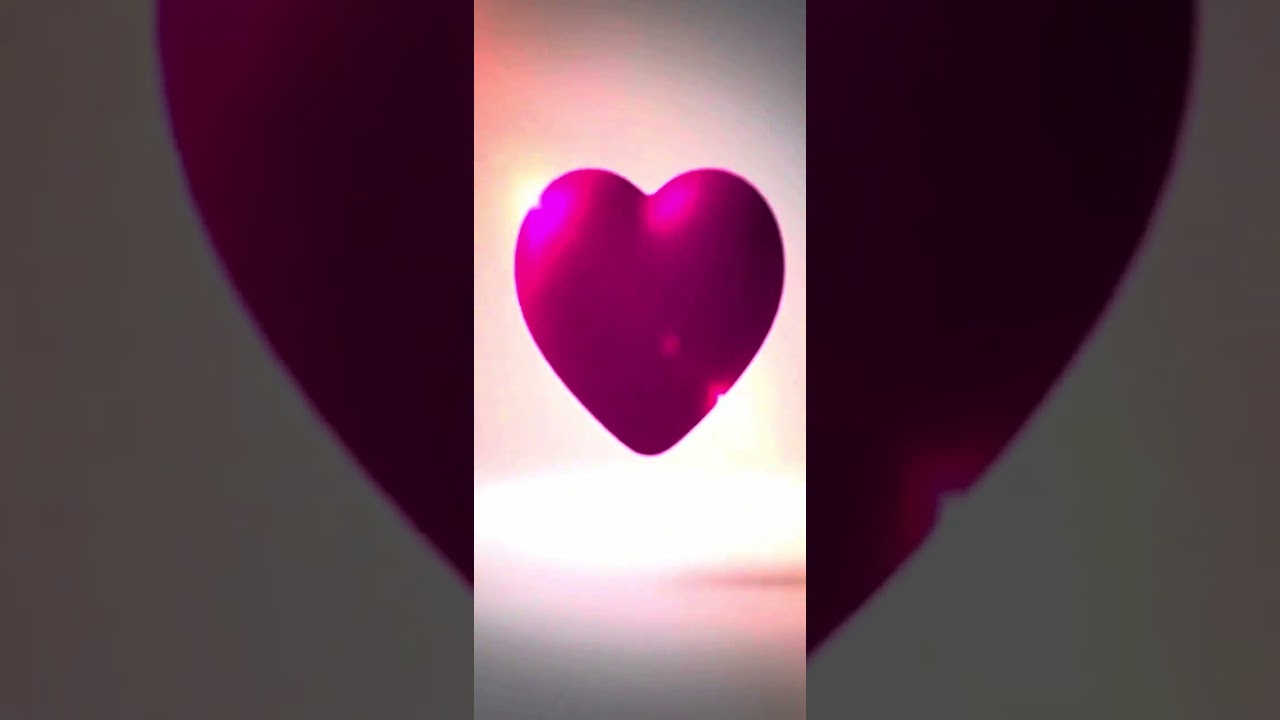 Cachorro raça SRD-ViraLata idade 7 a 11 meses nome meleys